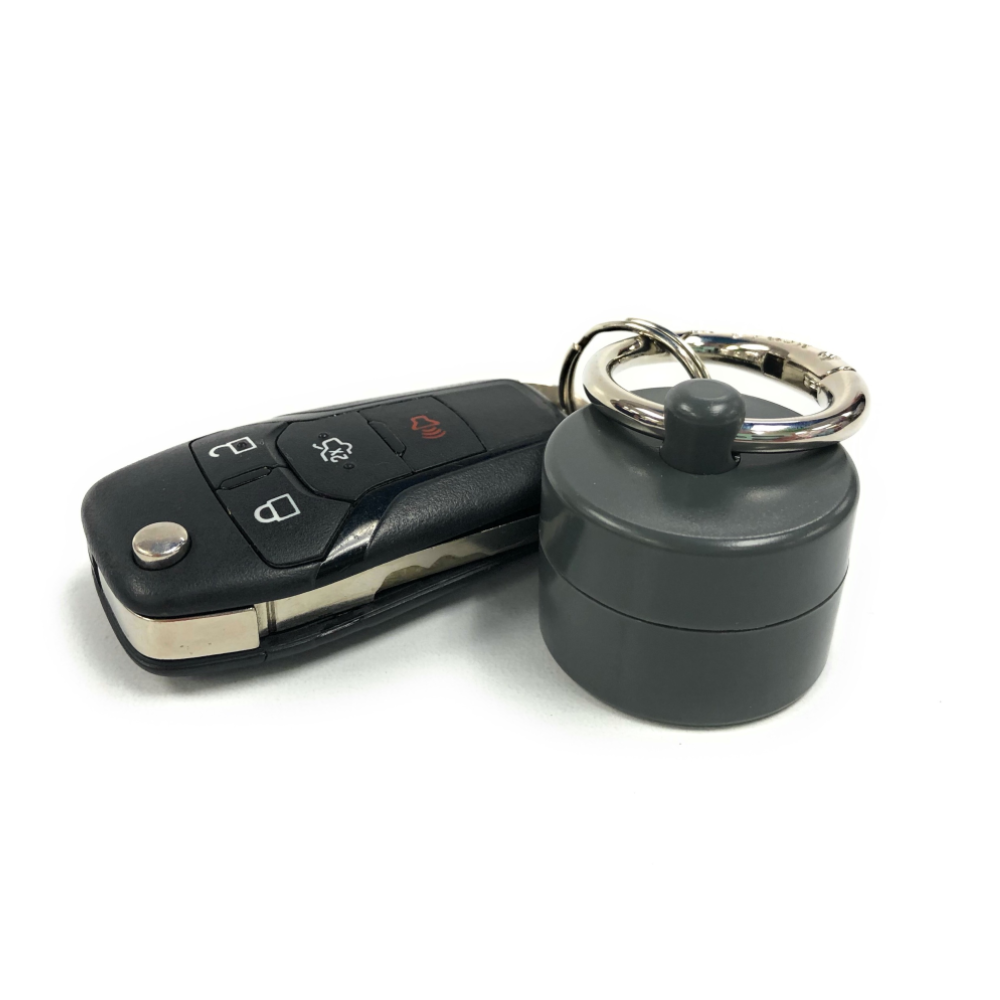 Storm Grey Lion Latch