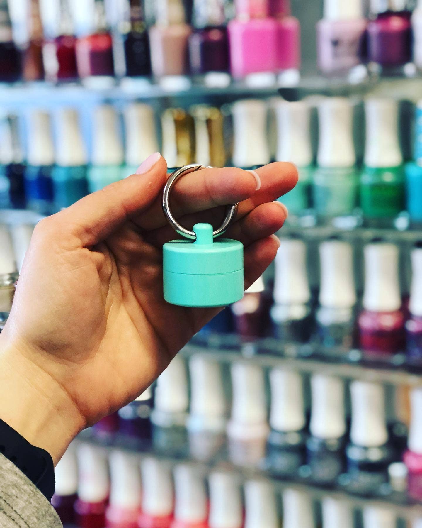 Mint Lion Latch Jewelry/Pill Tote