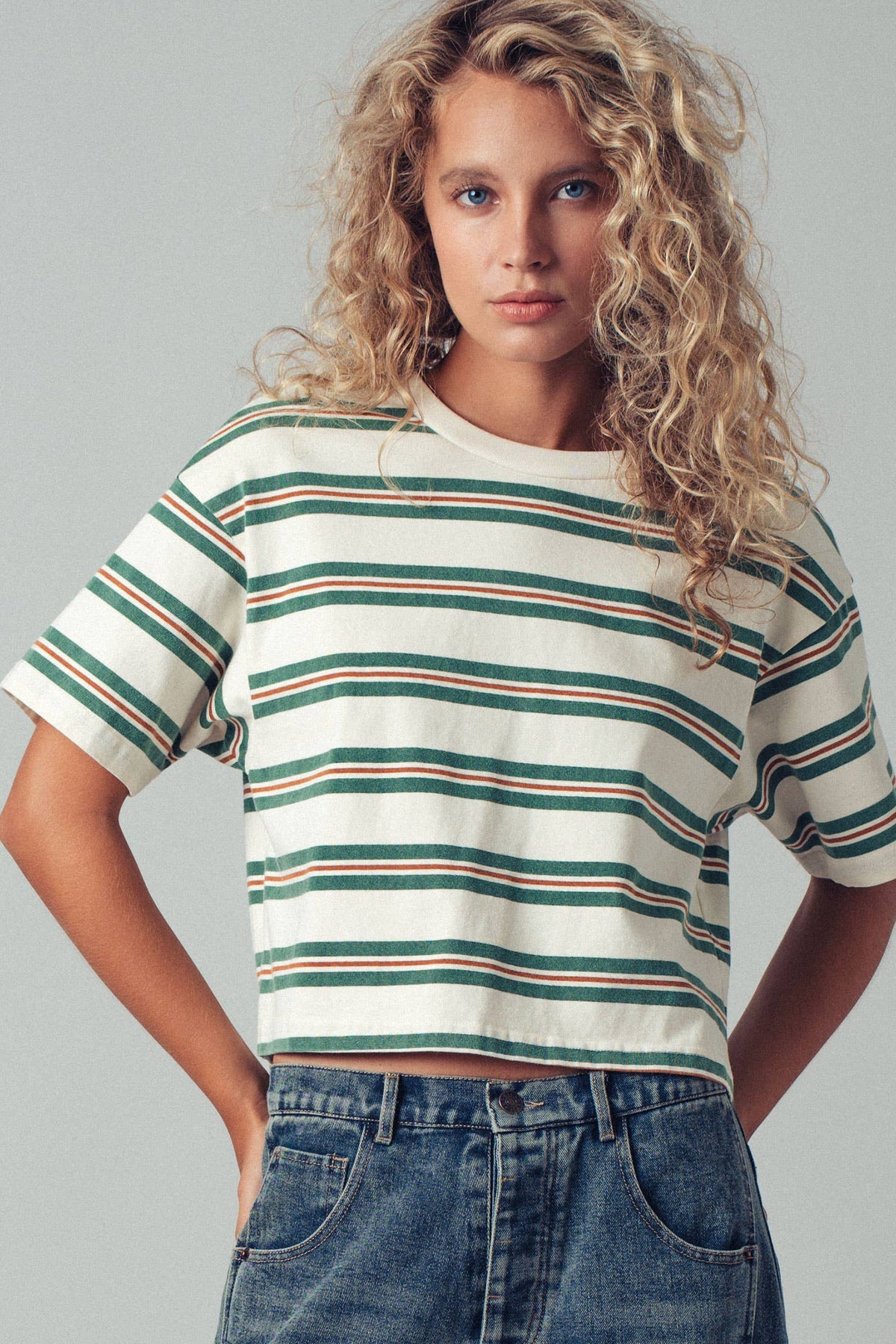 Vintage Striped Crop Tee/green & cream