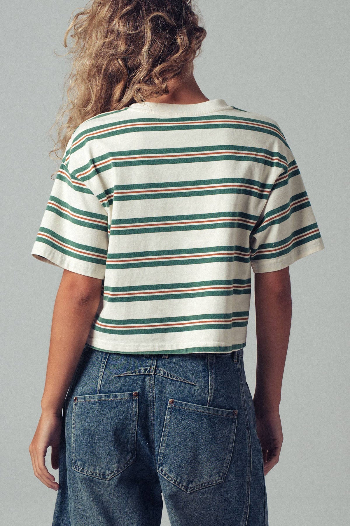 Vintage Striped Crop Tee/green & cream